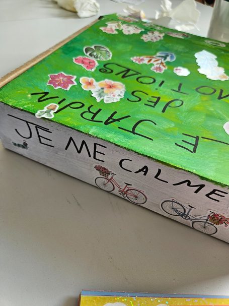 Jeu inédit "Jardin des émotions"