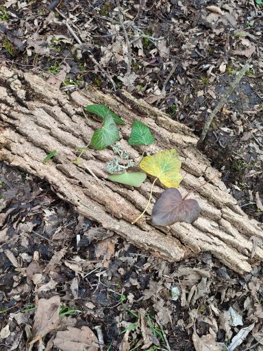 Land Art