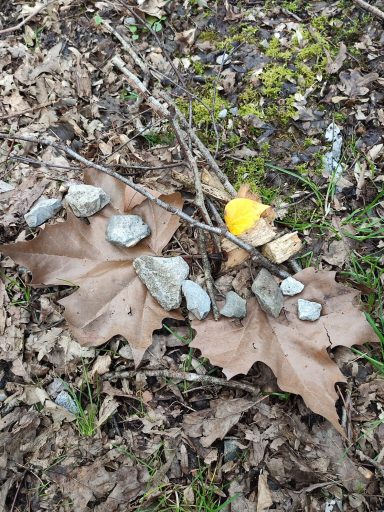 Land Art