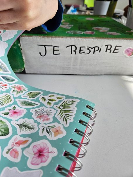 Jeu inédit "Jardin des émotions"